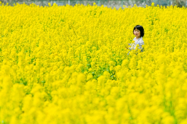3月末の心の整え方 変化の多い季節に。